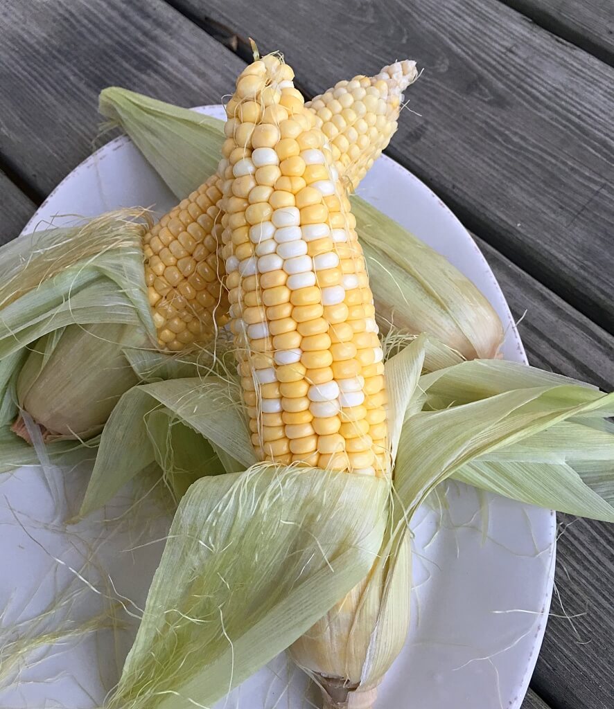 Fresh Sweet Corn // Photo: @sherriesavorsthecity